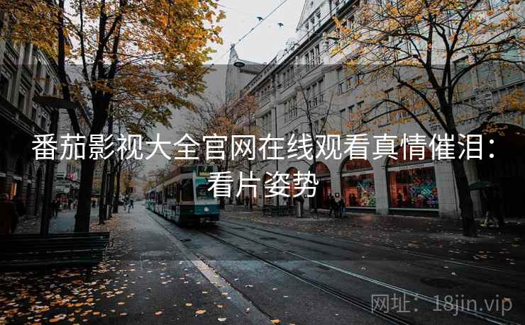 番茄影视大全官网在线观看真情催泪：看片姿势