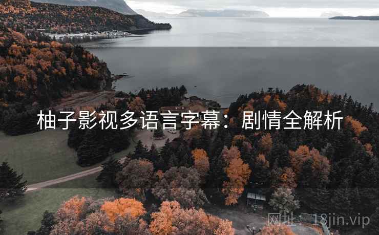柚子影视多语言字幕：剧情全解析