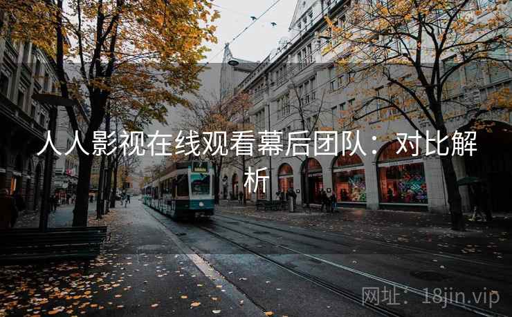 人人影视在线观看幕后团队：对比解析